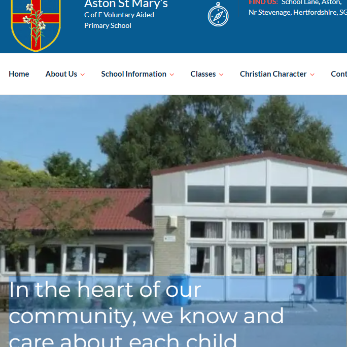 Website for schools
